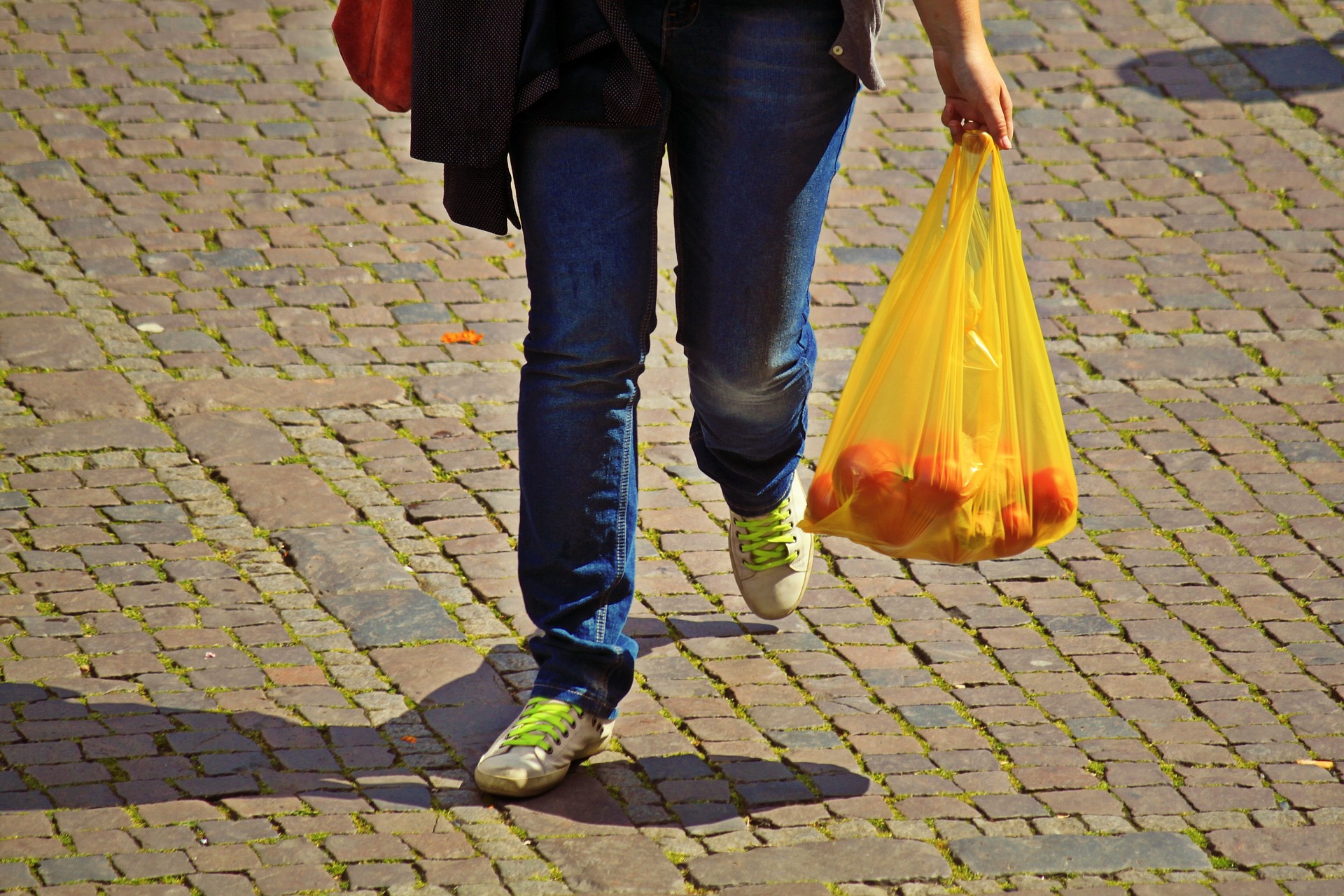 Global Call for Green Alternatives to Plastic Bags