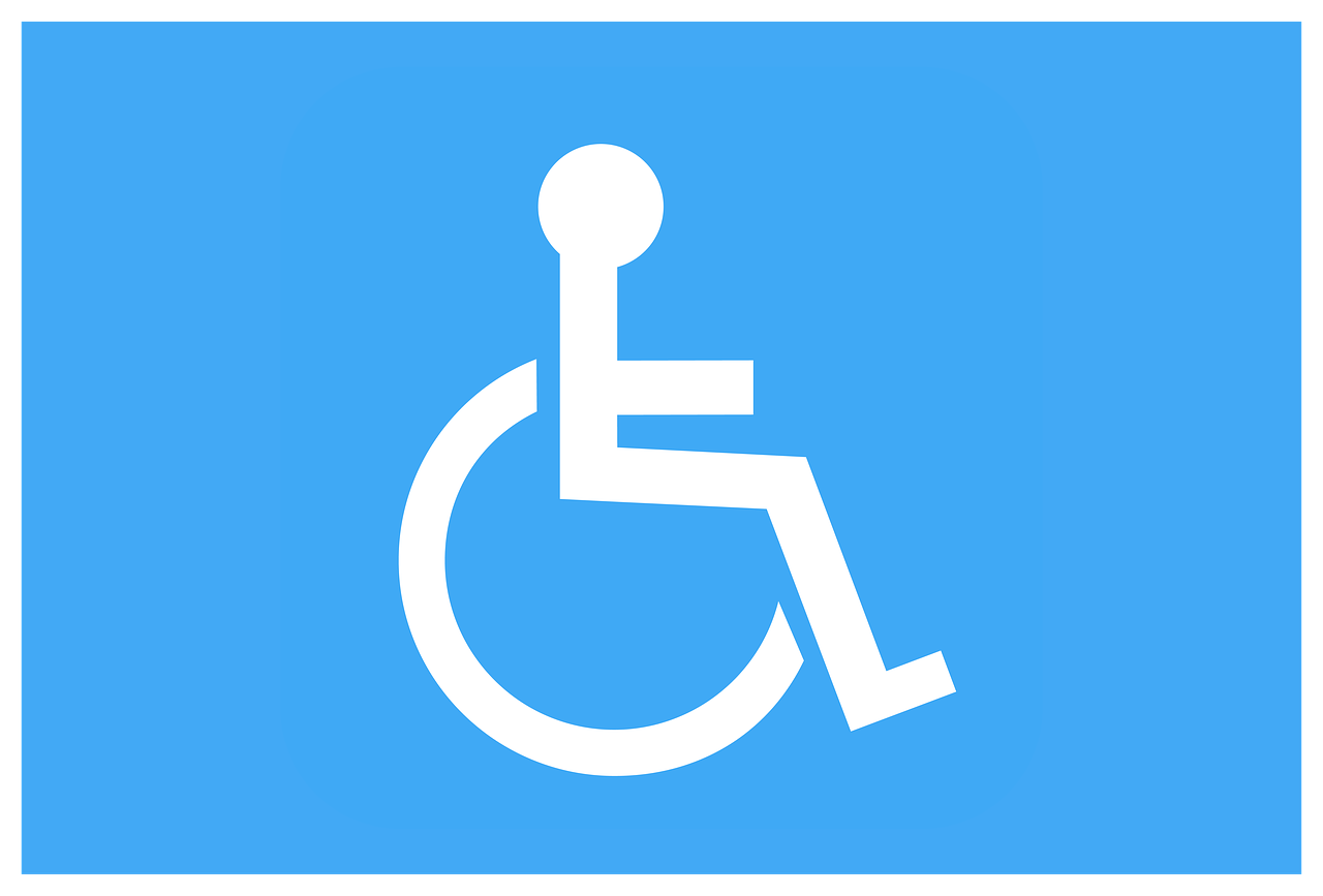REC Call to Promote and Protect the Rights of Persons with Disabilities