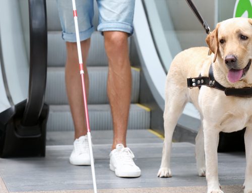 Funding to Support Blind and Partially Sighted People Across the UK