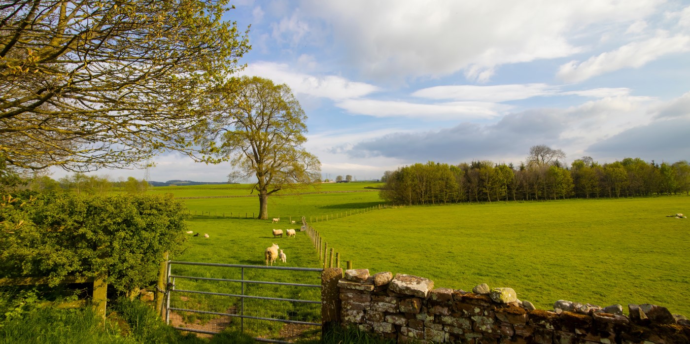Farmland in a rural area of UK - Royal Countryside Fund 2023