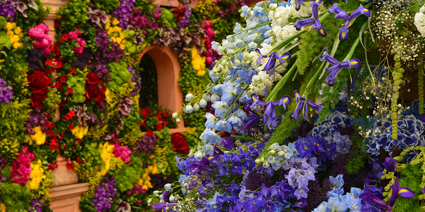 Funding for Charities and Designers to Create a Fully Funded Garden at