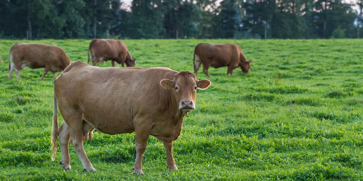 Animal Biosecurity