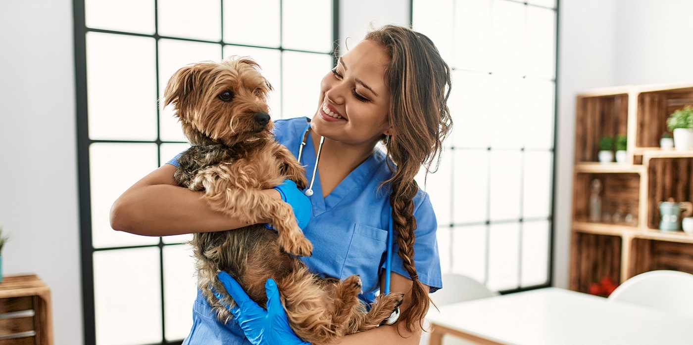 Young person giving veterinary care and behavioural support to a pet
