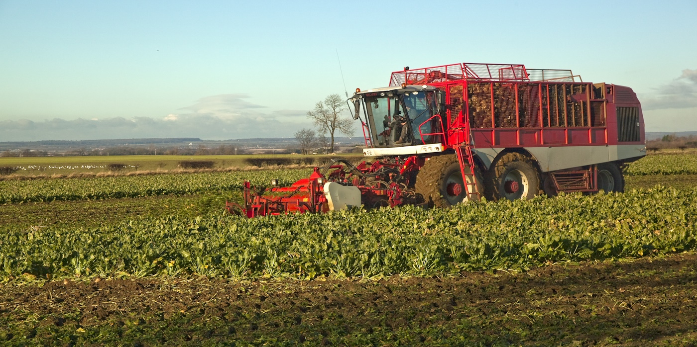 Farmer ploughing fields on a tractor